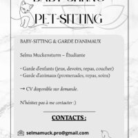 Vignette pour l'image de la liste principale