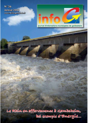 Info G janvier 2013